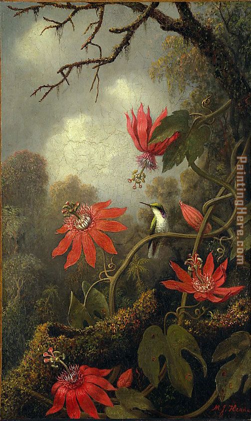 Martin Johnson Heade Hummingbird and Passionflowers